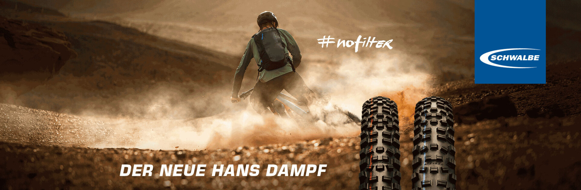 Schwalbe Hans Dampf
