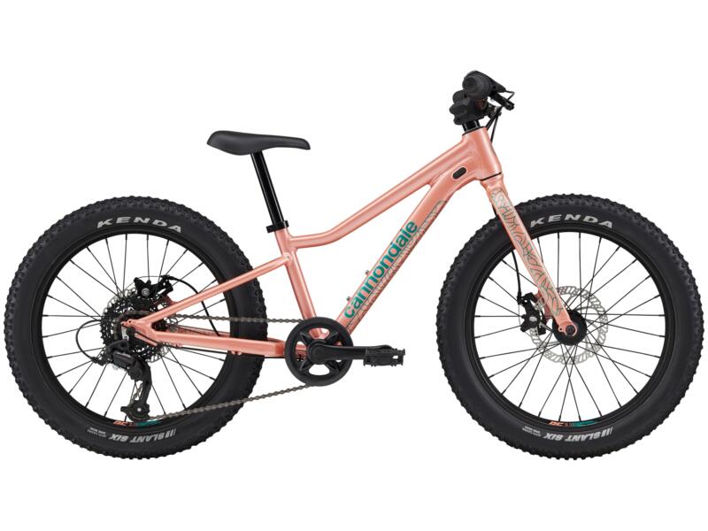 Cannondale Kids Trail Plus 20 Cannondale Kids Trail Plus 20