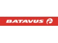 Batavus