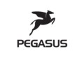 PEGASUS