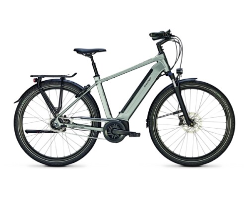 Raleigh Bristol XXL