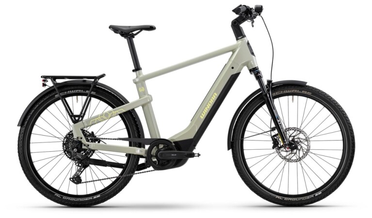 Winora - Yakun X10 High, Ivory Green glänzend