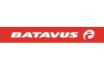 Batavus