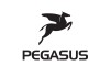 Pegasus