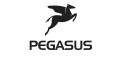 Pegasus