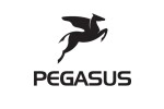 Pegasus