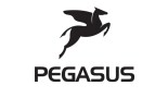 Pegasus