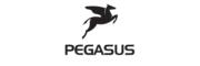 PEGASUS