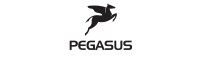 Pegasus