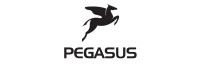 Pegasus