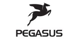 Pegasus