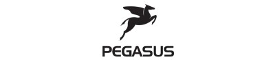 Pegasus