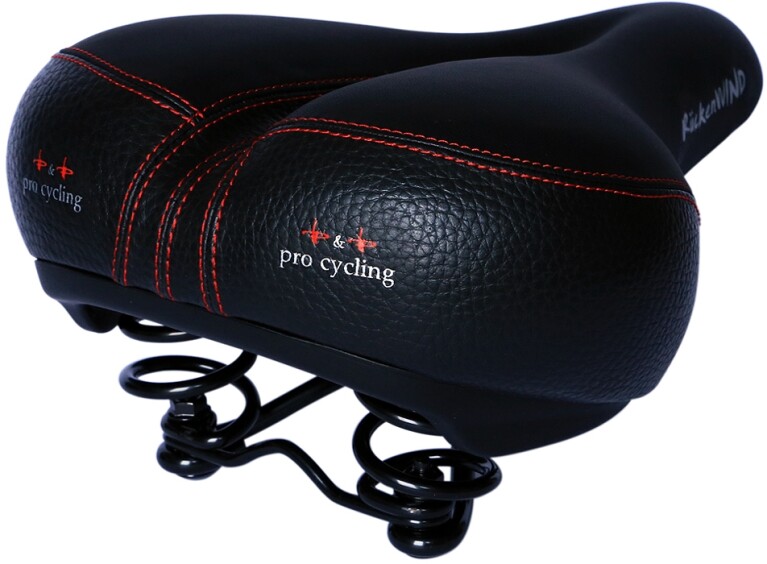 P&P pro cycling - Rückenwind Rot