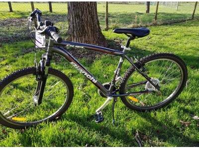 Bianchi 26
