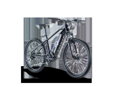 Raymon Hardray E-Seven 5.0 purple/schwarz
