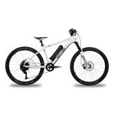 ben-e-bike Twentysix E-Power Pro 26 Zoll
