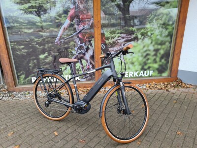 Raleigh Kent Ltd. Rh. M (48cm)
