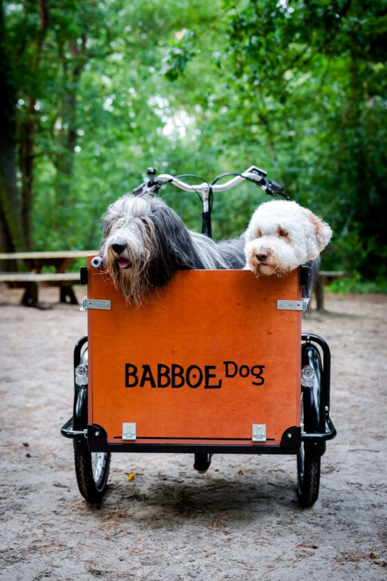 Babboe  Dog E 500 Wh  Holz