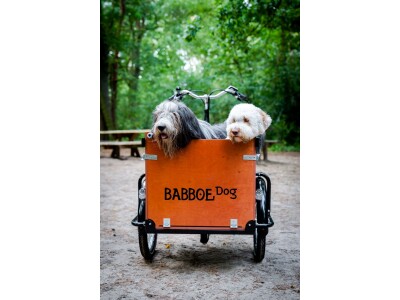 Babboe  Dog E holz