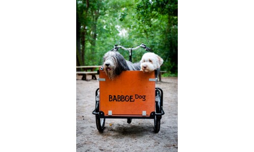 Babboe  Dog E 500 Wh  Holz