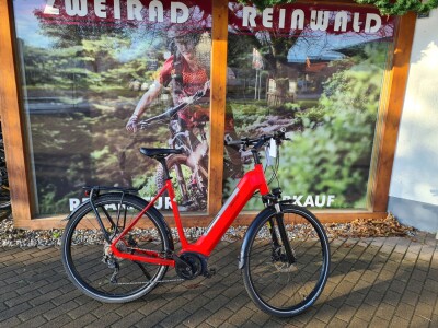 Raleigh Kent 9 Wave Rh. L (58 cm)