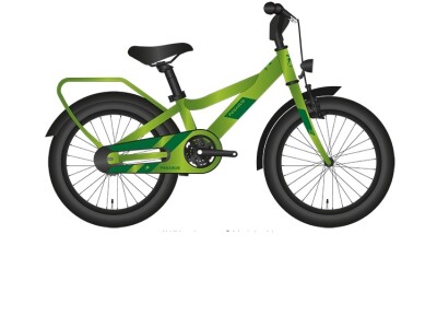 Pegasus Primo 18