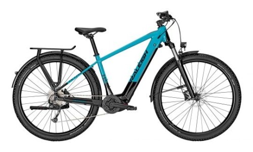 Raleigh Dundee 9 29 Di 500WH