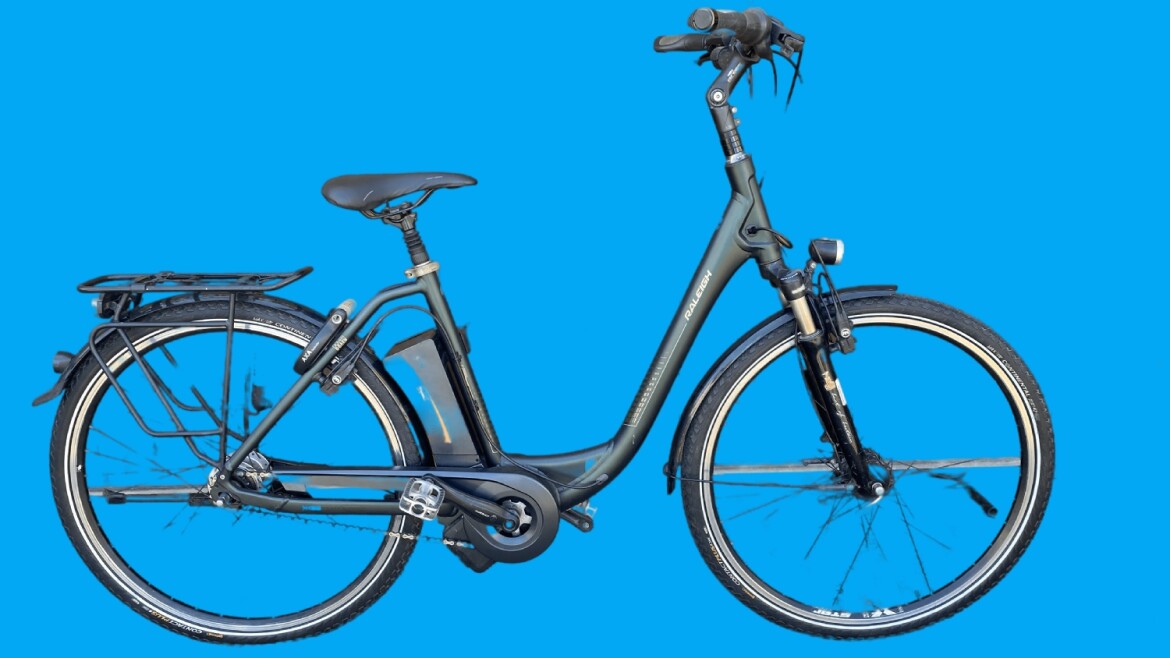Raleigh 28" Da Dover XXL  Nexus8/50 Impuls II11AH Raleigh
