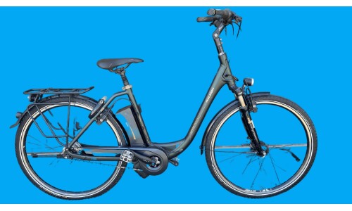 Raleigh 28" Da Dover XXL  Nexus8/50 Impuls II11AH Raleigh