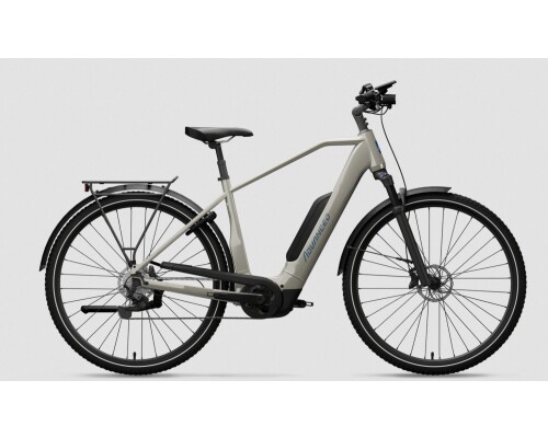 ADVANCED EBIKE TREKKING Plus, Diamant, natural-grey