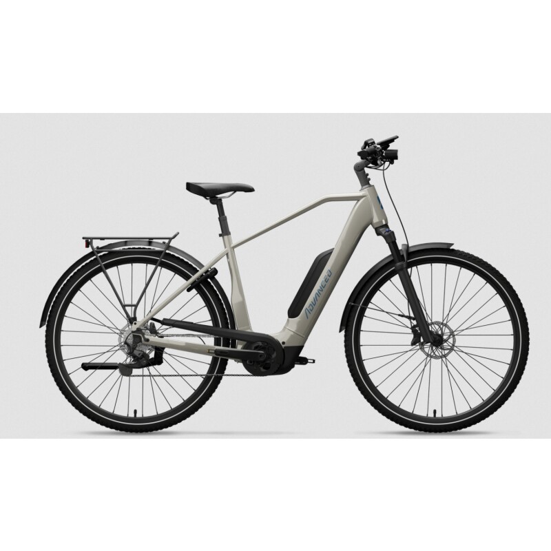 ADVANCED EBIKE TREKKING Plus, Diamant, natural-grey