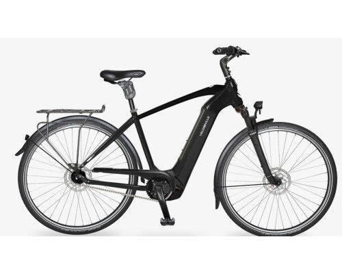 Velo de Ville AEB890 Smooth, 5-Gang Shimano, 625Wh Akku, Happy Size