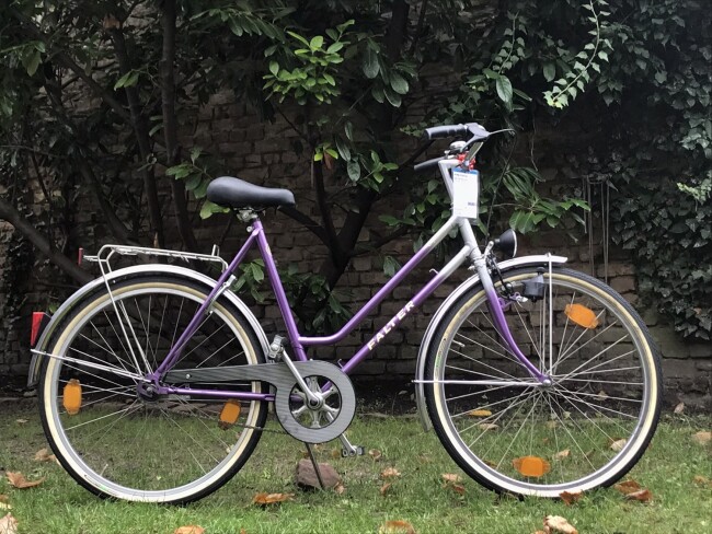 FALTER Falter Citybike, Violett-Silber