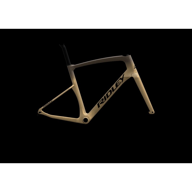 Ridley Kanzo Fast custom GRX 800 (1x12) 2024