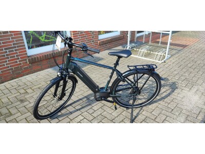 Raleigh Bristal 8