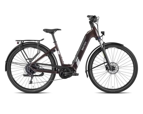 BESV TR 1.3 LS