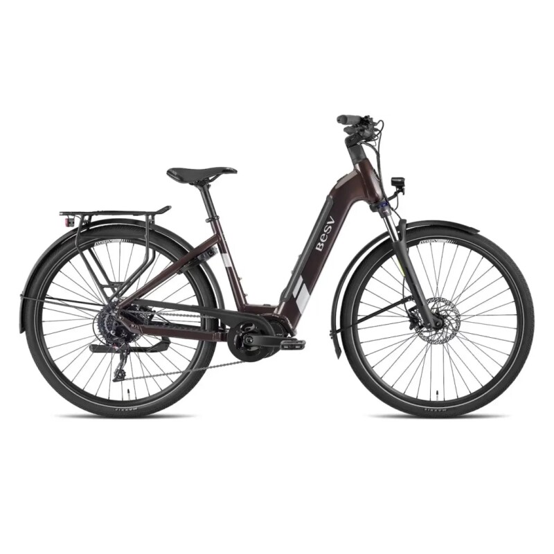 BESV TR 1.3 LS