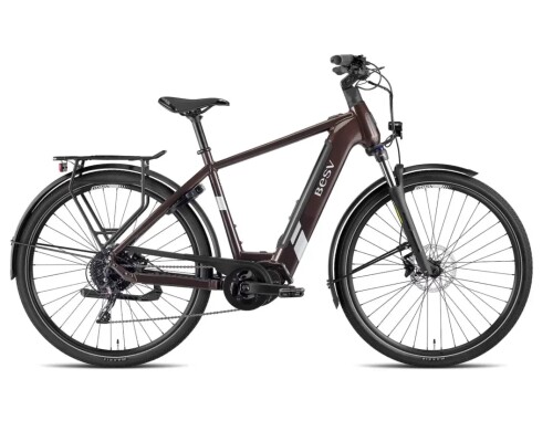 BESV TR 1.3 LS