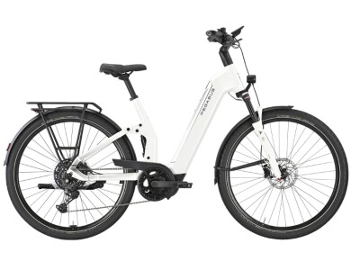 PEGASUS PREMIO EVO FS10 Lite