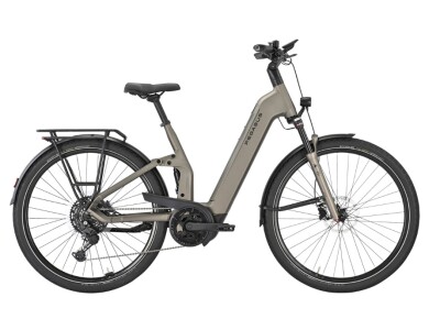 PEGASUS PREMIO EVO FS10 Lite