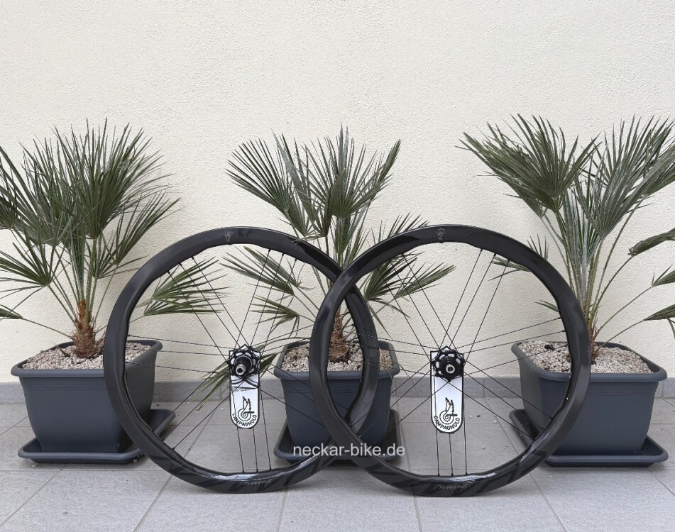 Shamal C23 Carbon Disc