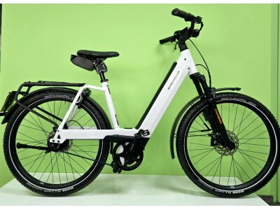 Riese und Müller Nevo4 GT Rohloff