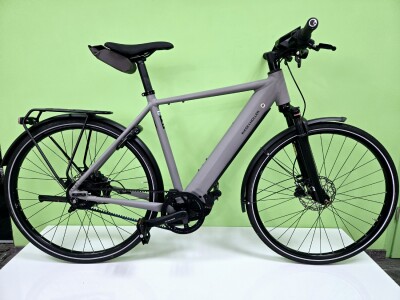 Riese und Müller Roadster vario