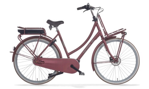 Cortina E-U4 Transport - Bosch Active Line