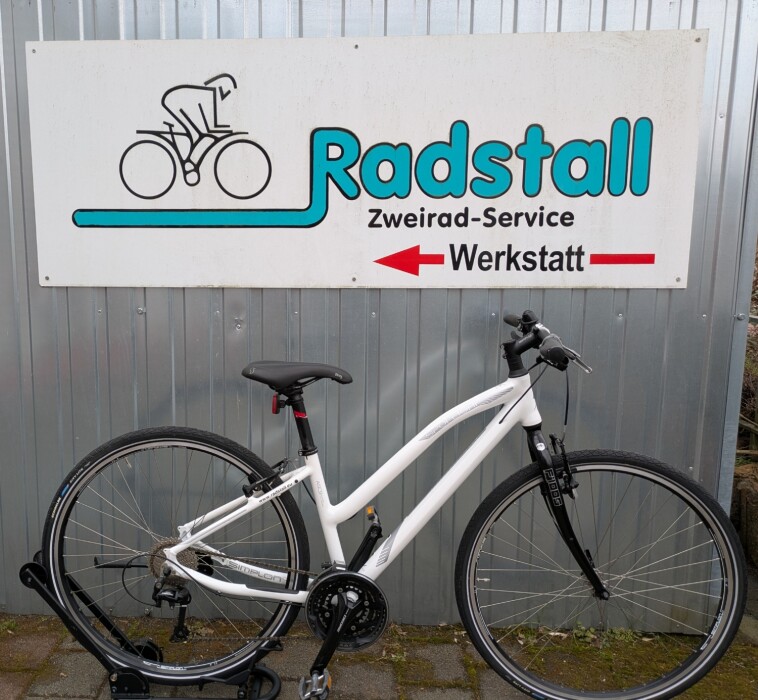 Simplon Spotlight