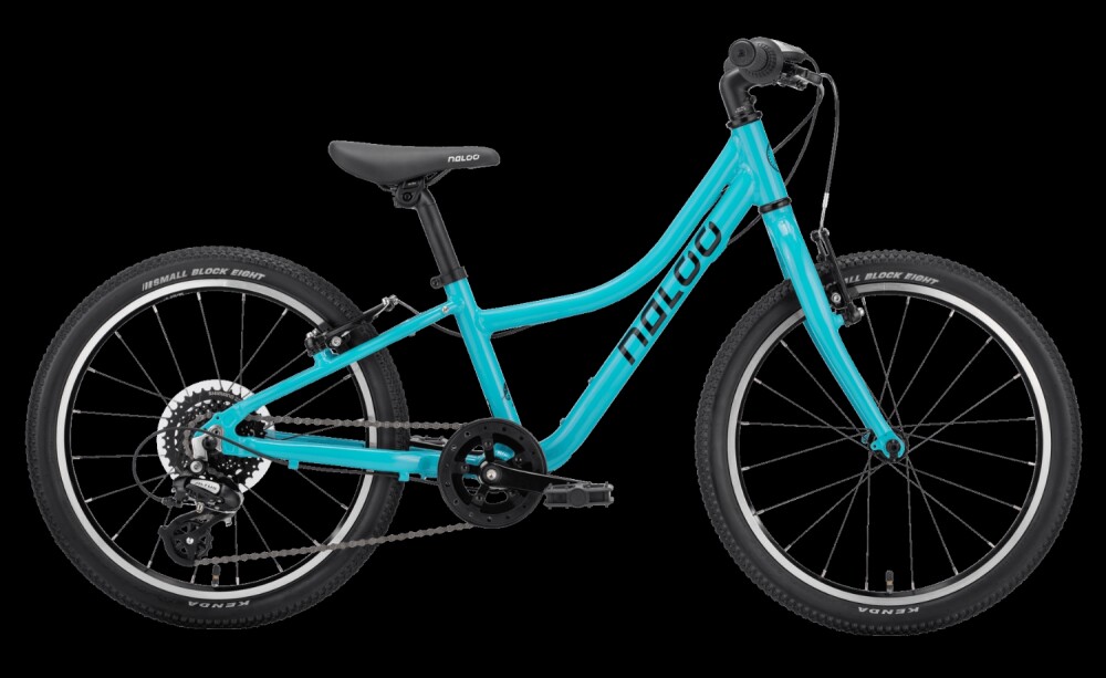 Naloo Chameleon 20