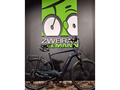 Pegasus Premio EVO 11 Lite 40Years