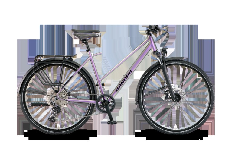 Winora - Domingo X12 Pro Mid, Chameleon