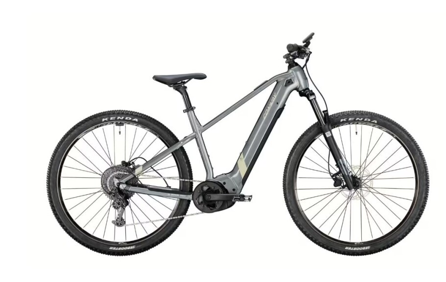 Conway Cairon S 2.0 625 Wh Rh. S,M, L, XL grau