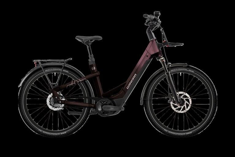 Winora - Yakun R5 Low, Red/Violet glänzend